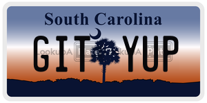 GITYUP license plate in South Carolina