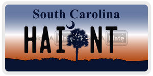 HAINT  license plate in SC