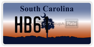 HB61  license plate in SC