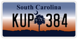 KUP384  license plate in SC