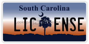 LICENSE license plate in South Carolina