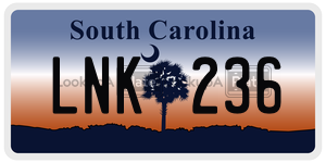 LNK236  license plate in SC