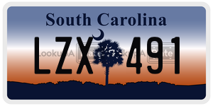 LZX491  license plate in SC