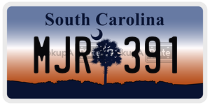 MJR391  license plate in SC