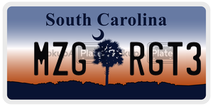 MZGRGT3 license plate in South Carolina