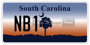 NB1 license plate in South Carolina
