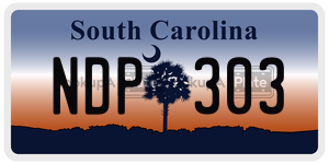 NDP303 license plate in South Carolina