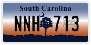 NNH713  license plate in SC