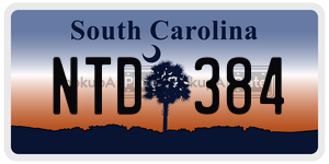 NTD384  license plate in SC