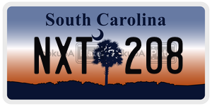 NXT208 license plate in South Carolina