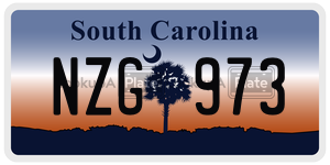 NZG973 license plate in South Carolina