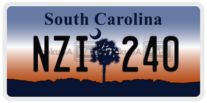 NZI240 license plate in South Carolina