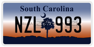 NZL993 license plate in South Carolina