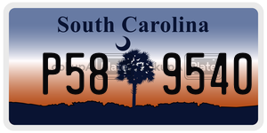 P589540 license plate in South Carolina