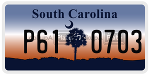 P610703 license plate in South Carolina