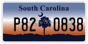P820838 license plate in South Carolina