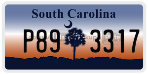P893317 license plate in South Carolina