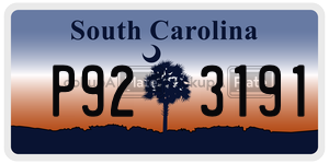 P923191  license plate in SC