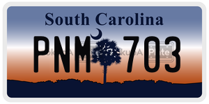 PNM703 license plate in South Carolina