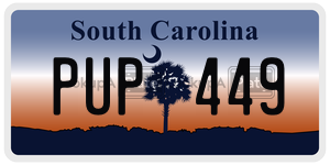PUP449 license plate in South Carolina