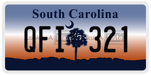 QFI321 license plate in South Carolina
