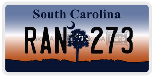 RAN273  license plate in SC