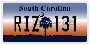 RIZ131  license plate in SC