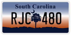 RJC480 license plate in South Carolina