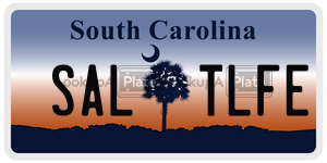 SALTLFE license plate in South Carolina