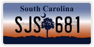 SJS681 license plate in South Carolina