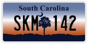 SKM142  license plate in SC