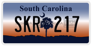 SKR217  license plate in SC