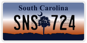 SNS724 license plate in South Carolina