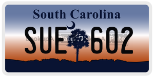 SUE602 license plate in South Carolina