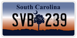 SVB239 license plate in South Carolina