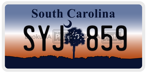 SYJ859  license plate in SC