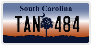 TAN484 license plate in South Carolina