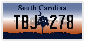 TBJ278 license plate in South Carolina