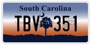 TBV351 license plate in South Carolina