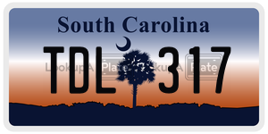 TDL317 license plate in South Carolina