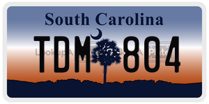 TDM804  license plate in SC