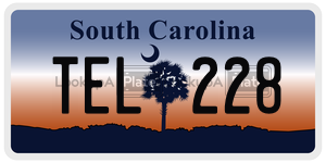 TEL228 license plate in South Carolina