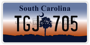 TGJ705  license plate in SC