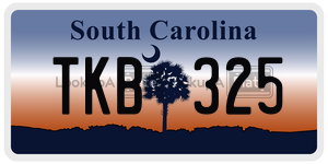 TKB325 license plate in South Carolina