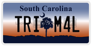 TRIM4L license plate in South Carolina