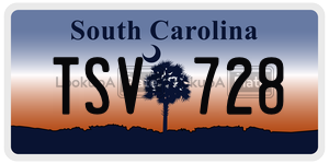 TSV728  license plate in SC