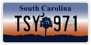 TSY971 license plate in South Carolina