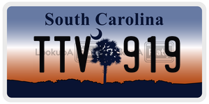 TTV919 license plate in South Carolina
