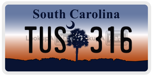 TUS316 license plate in South Carolina