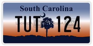 TUT124 license plate in South Carolina